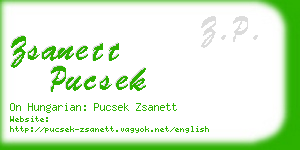 zsanett pucsek business card